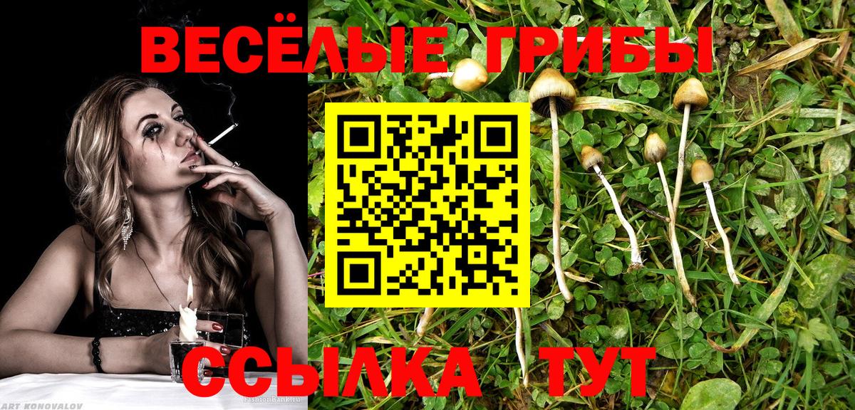 Псилоцибиновые грибы Cubensis  Вход с VPN  Белая Калитва 