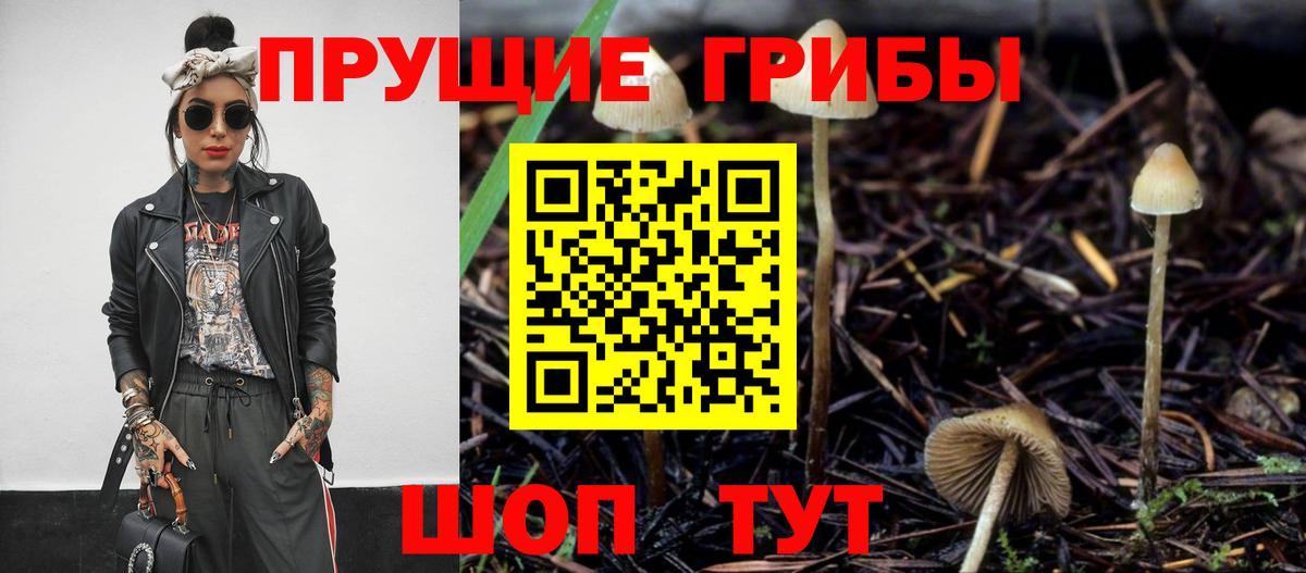 Псилоцибиновые грибы Psilocybe Белая Калитва